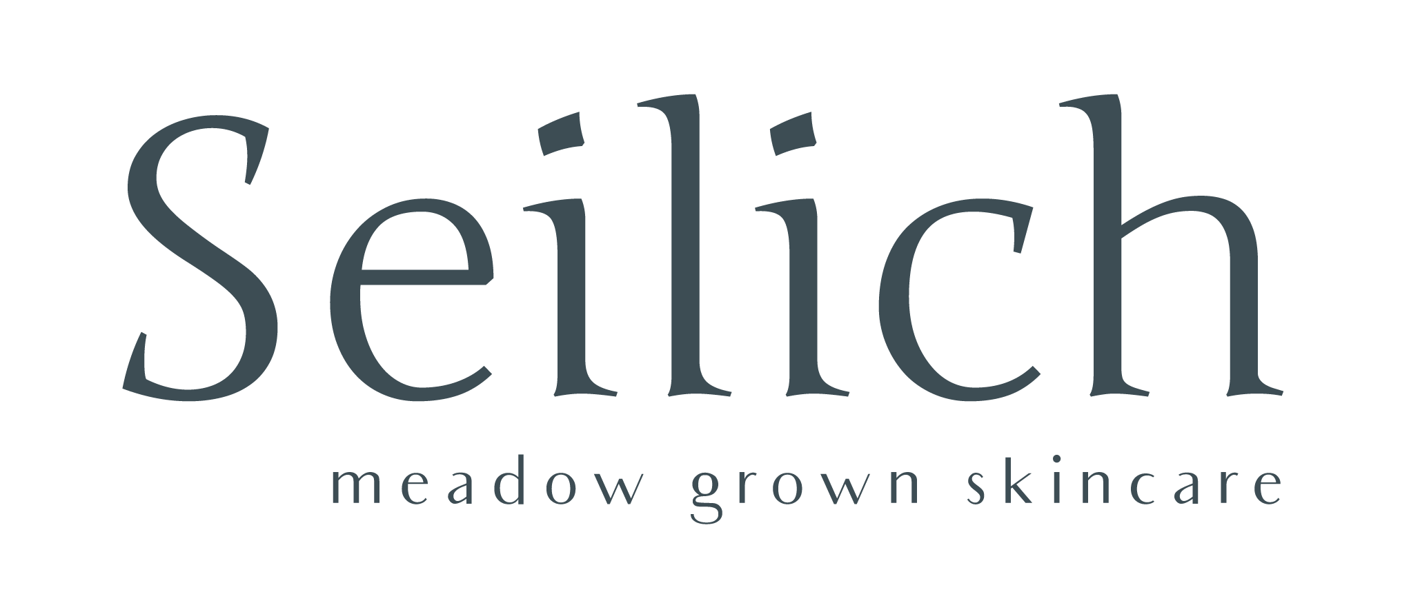 Seilich logo